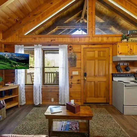 Cozy Studio Log Cabin In The Heart Of Pigeon Forge. Hot Tub. Honeymoon! Sleeps 2 Exterior photo